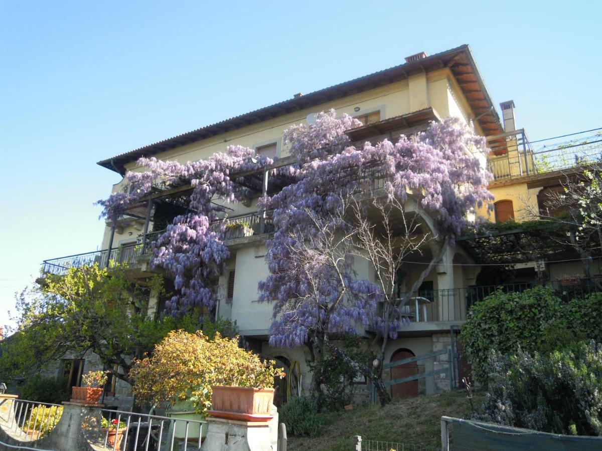Bel Panorama *
