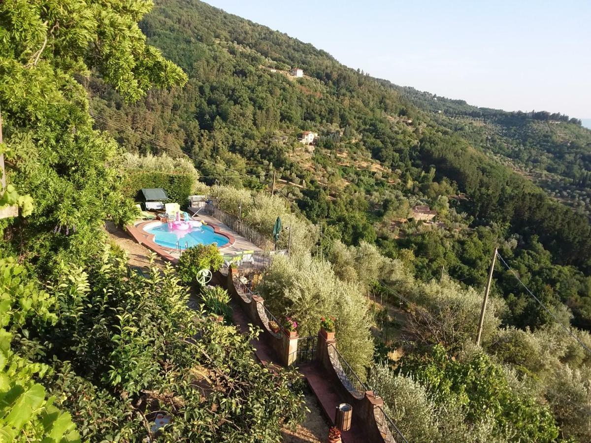 Bel Panorama * Pelago